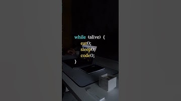 Life of a Programmer: Eat, Sleep, Code, Repeat | Developer Routine Loop