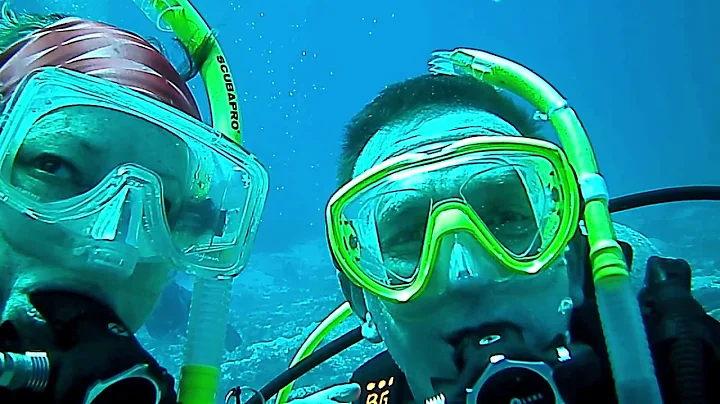 Amber Waves Diving Cozumel 2018