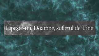 Lipeste-mi, Doamne, sufletul de Tine - NEGATIV | cover chords