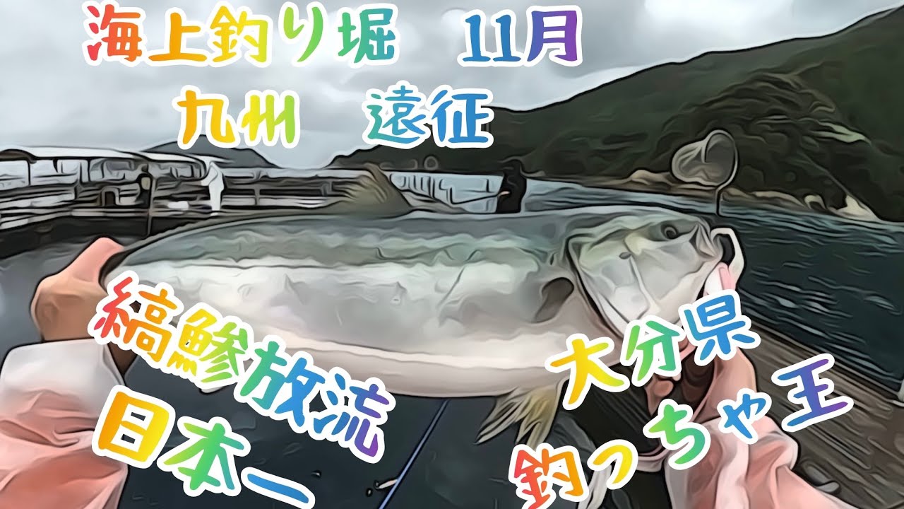 海上釣り堀11月　縞鯵放流日本一　大分　釣っちゃ王