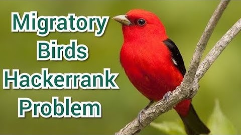 Migratory Birds HackerRank Solution || Explained in Hindi | coding4u