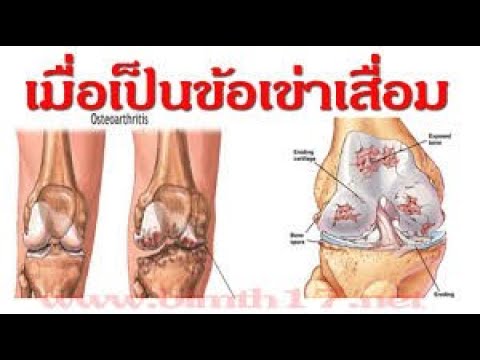 ภูมิสมดุล ลู่ทางนวชาตแผ่นดินกำลังมาหามือหนักสัมผัสลองทำใช้คืนบัง