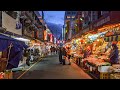 Live Tokyo Walk - Ueno, Yanesen, Ameyoko and Akihabara - 上野、谷根千、秋葉原散歩