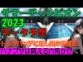 サマーチャンピオン2023　データ予想