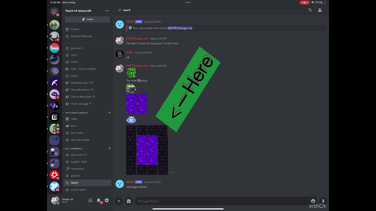 I made Minecraft portal with nitro basic in discord
