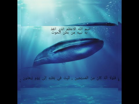 قصة ذي النون كيف ابتلعه الحوت وكيف كان تسبيحه في بطن الحوت وكيف القي في العراء 