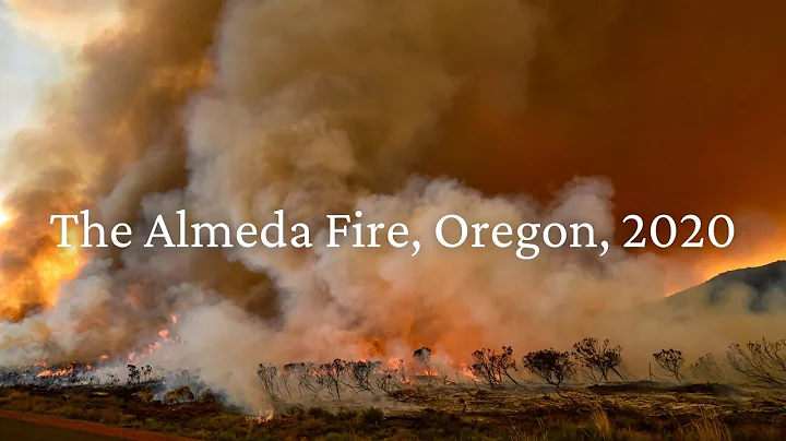 The Almeda Fire, Phoenix Oregon, 2020
