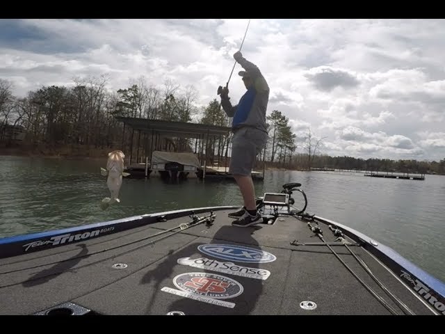 Wacky Rigging with the ALX Ikos Soul 7 