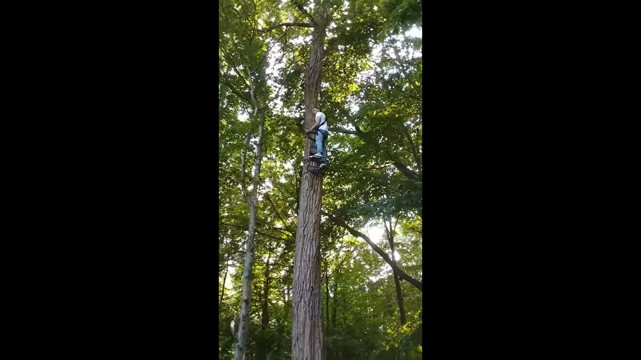 25 Foot high tree stand