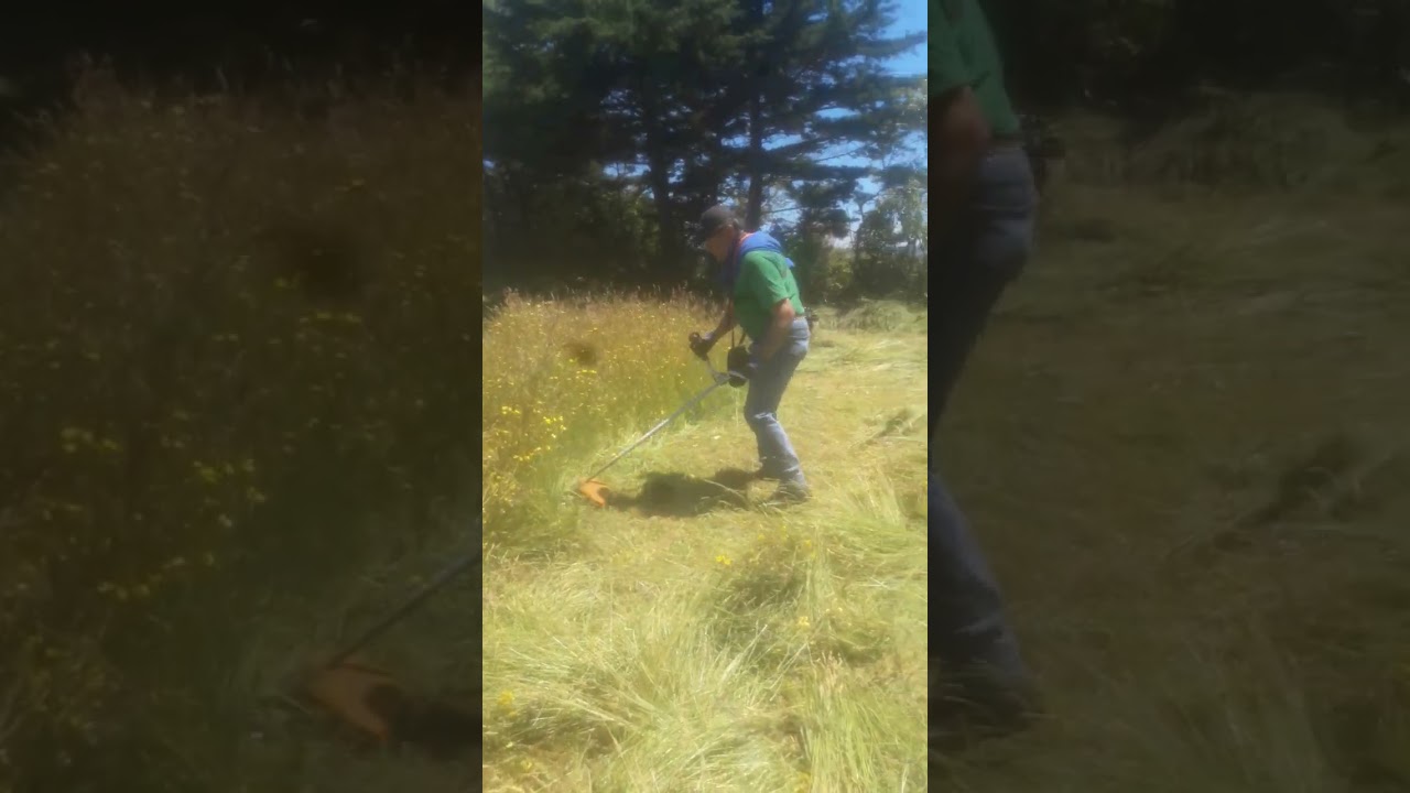 Isla Maillen surguidero