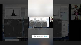 Image Segmentation Difficulty  Histogram Analysis Explained