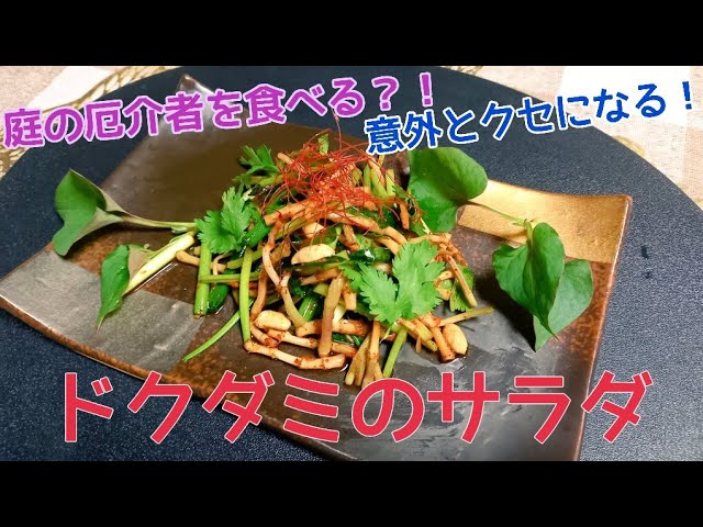 ドクダミ 庭のドクダミをサラダに 一度食べたらやみつきに ドクダミのサラダ ハマりました Youtube ドクダミ 庭のドクダミをサラダに 一度食べたらやみつきに ドクダミのサラダ ハマりました Youtube