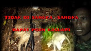 Download Lagu Unexpectedly Successfully Got Cassowary Points..night hunting.. MP3