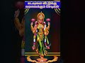 கடவுளை வீட்டிற்கு வரவழைக்கும் செடிகள் #shortsfeed #trending #ytshorts