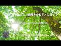 【作業用BGM】木漏れ日のリズム、微睡みのピアノに乗せて / Sunlight Rhythms on a Slumbering Piano【BGM for Work】