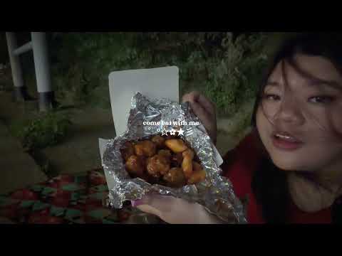 Come Eat With Me: A little picnic at the Han River 🍜🍗🍺