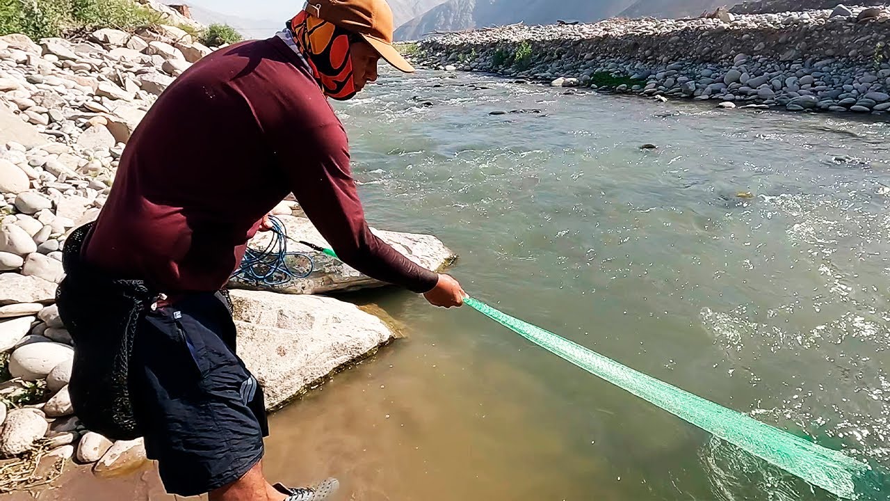 Pescador Experto Lanza Su Atarraya y Saca Grandes Camarones del Río ...