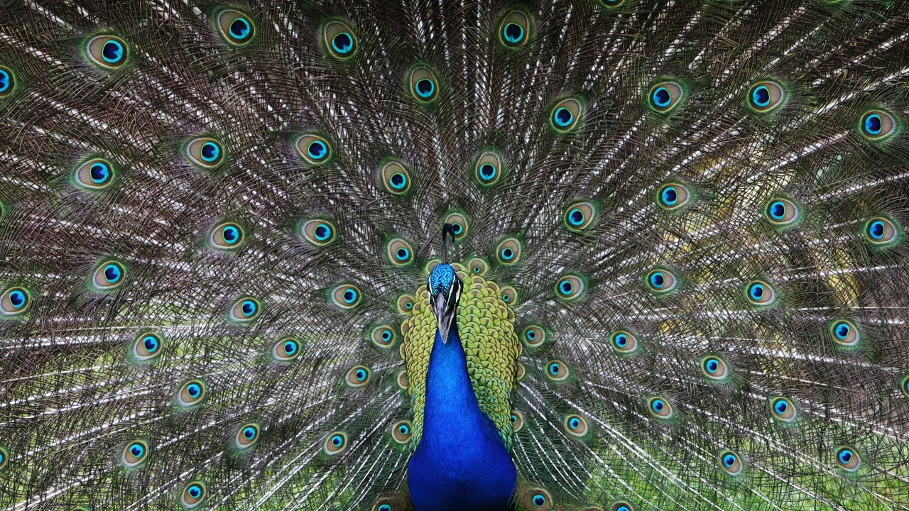 Photos of the Year 2011