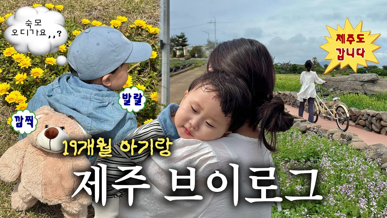 👶🏻19개월 아기랑 제주도 가족 여행 vlog🍊 l 장난감 많은 숙소•유아 동반 맛집/카페 추천•가족 스냅•새별프렌즈•서쪽 여행코스🌴