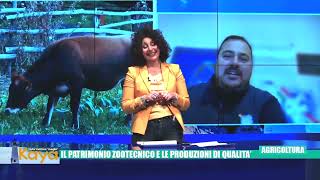 A Kaya Il Presidente Minicozzi E Il Patrimonio Zootecnico E Le Produzioni Di Qualità