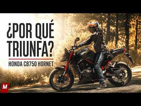 Why is the Honda CB750 Hornet so successful?