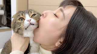 可愛すぎて食べられちゃった親子猫w