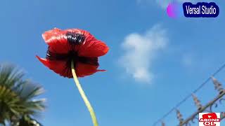 Nigar Agcebedili Aydin Aliyev Nicat Mamedov Super Bir Ifa .Teli 051.353.04.04