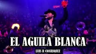 Luis R Conriquez - El Aguila Blanca (Corridos Belicos 2023)