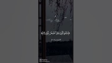 اوائل سورة الفجر 🌹🌹تلاوة القارئ مروان سالم