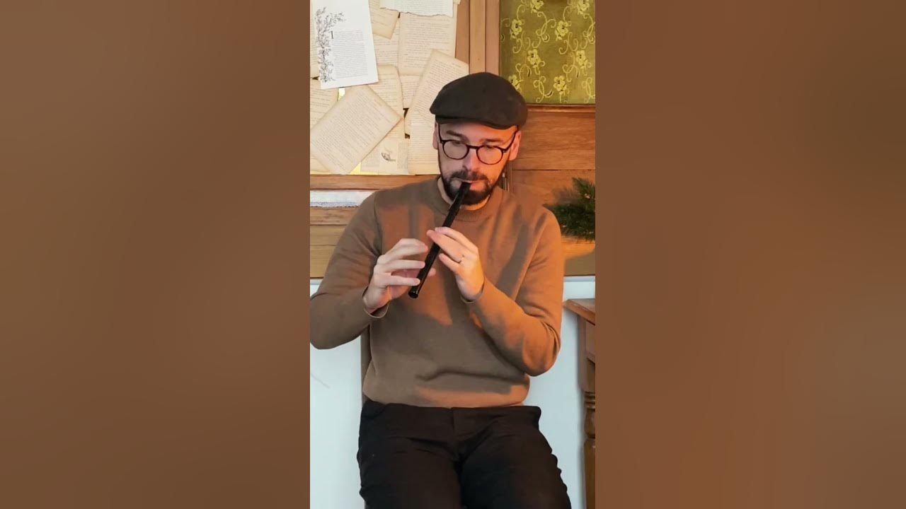 The kid on the moutain on tin whistle #tinwhistle #whistles #slipjig