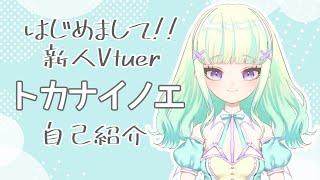 「【自己紹介】トカナイノエ【Vtuber】」のサムネイル