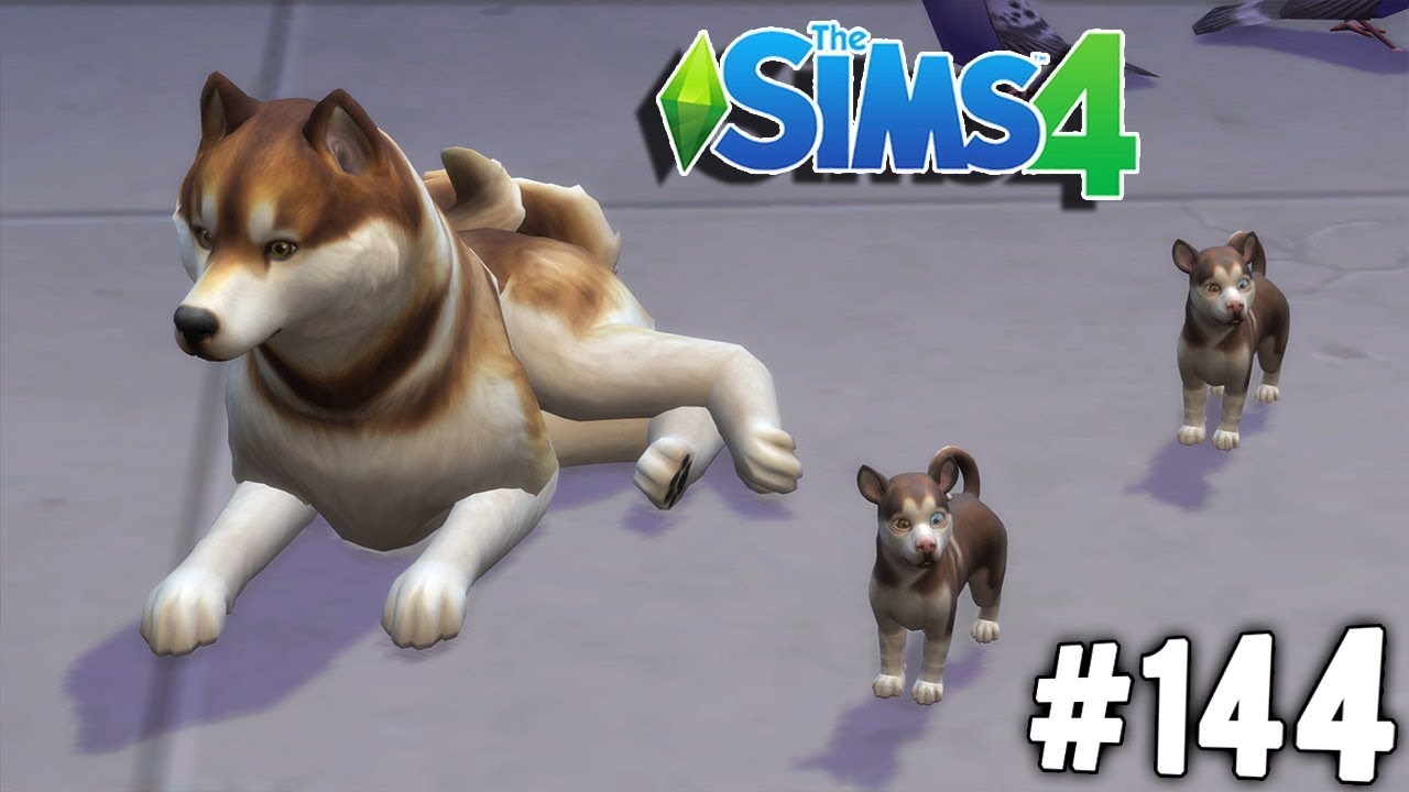 SONO NATI I CUCCIOLI! - The Sims 4 #144