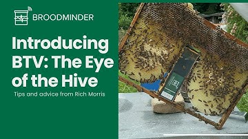 Introducing BeeTV: Real-Time Hive Monitoring