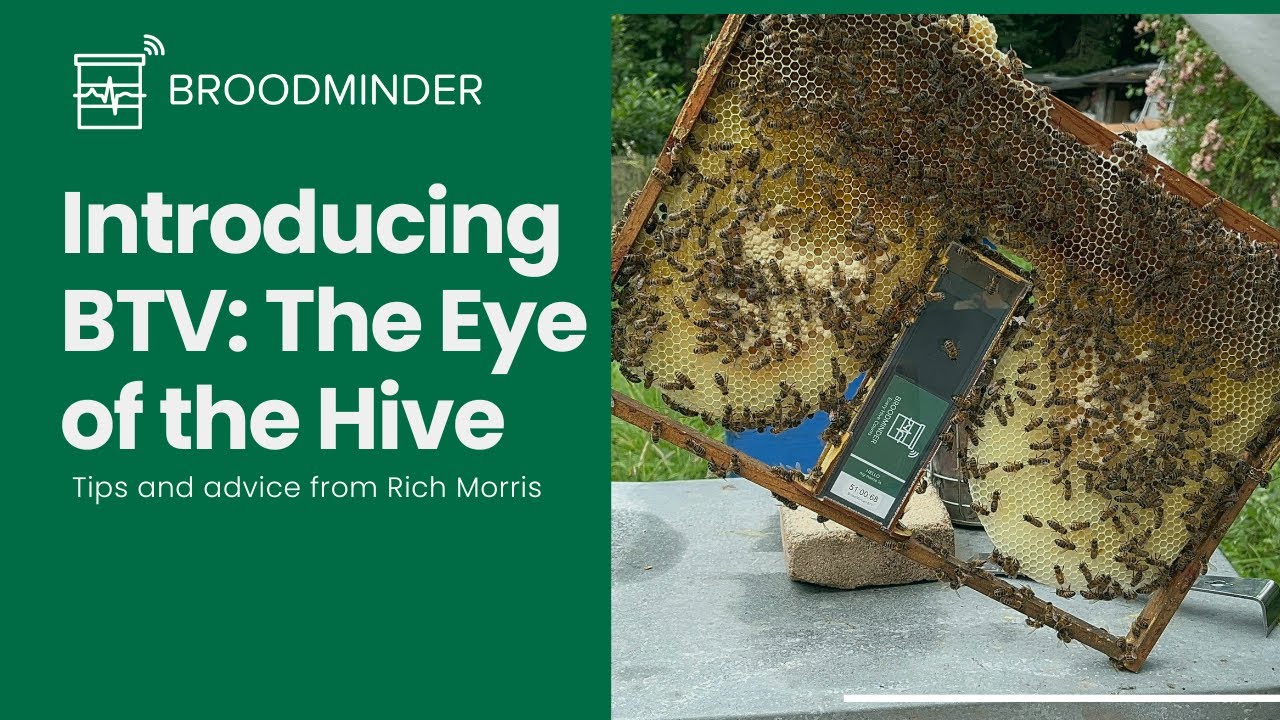 Представляем BeeTV: мониторинг ульев в режиме реального времени.