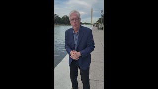 Blue object spotted in reflecting pool