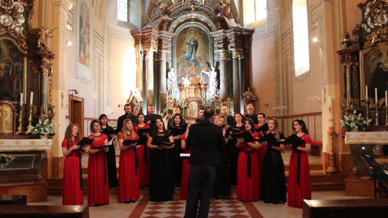 Ave Maria / F. X. Engelhardt