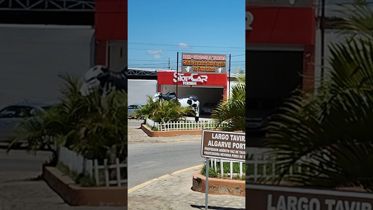 Tabira a cidade da maior feira de Gado de Pernambuco