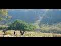 دبرارت/كلمات علي كشوب اداء/سعيد المعشني