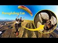 Paragliding with my cat pt 1