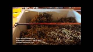 Grape Wine Processing Line, industrial Grape Destemming Machine, Grape Destemmer