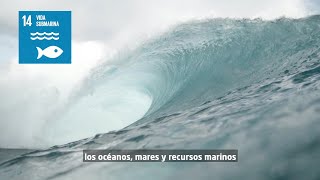 ODS 14 – Vida submarina