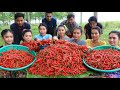 Amazing cooking 50 kg chili with chicken recipe in my homeland - Amazing video