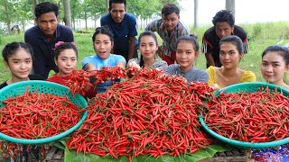 Amazing cooking 50 kg chili with chicken recipe in my homeland  Amazing video