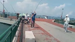 Bedok Jetty, today everyone got a fish. Tomorrow one more good day should be