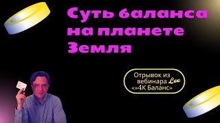 Суть баланса на планете Земля  |  Отрывок из вебинара &quot;4К Баланс&quot;