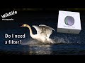 Freewell VND Filter (Magnetic) | UK WILDLIFE and NATURE Photography | Canon R5