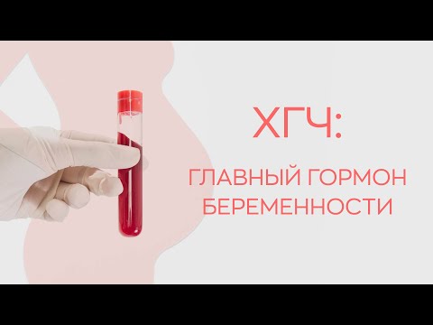 🧬​ХГЧ: главный гормон беременности