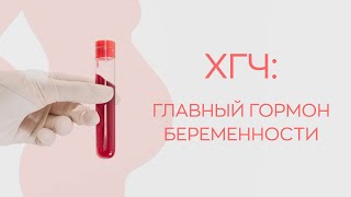 видео: 🧬ХГЧ: главный гормон беременности картинка: 🧬ХГЧ: главный гормон беременности
