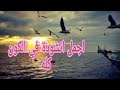 انشودة سوف نبقي هنا للقارئ اسلام صبحي ولكن بصوت السنجاب انشودة سوف نبقي هنا للقارئ اسلام صبحي ولكن بصوت السنجاب