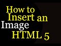 How to Insert an Image into website using HTML 5 Visual Studio Code Tutorial